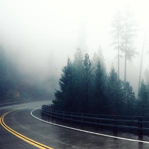 中国日本欧美级特黄大片
